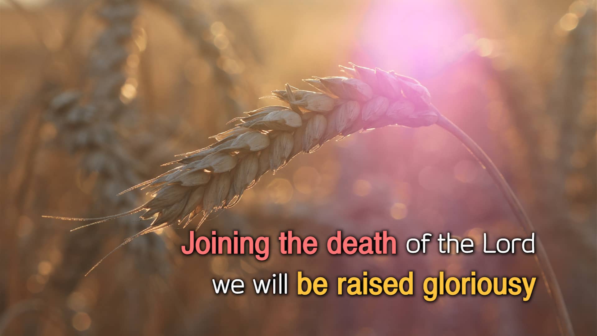 Free download [312호] 부활_전제조건_영문판 video and edit with RedcoolMedia movie maker MovieStudio video editor online and AudioStudio audio editor onlin